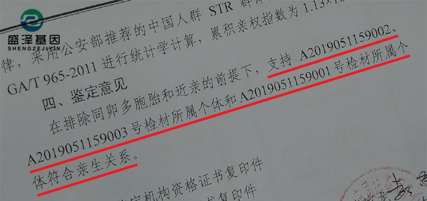 DNA親子鑒定報告究竟長啥樣？怎么看？