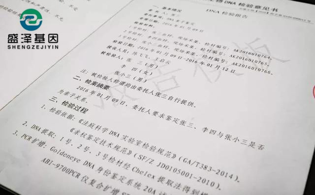 DNA親子鑒定報告究竟長啥樣？怎么看？