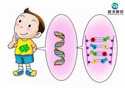 父子DNA鑒定配比率多少孩子才是親生？3