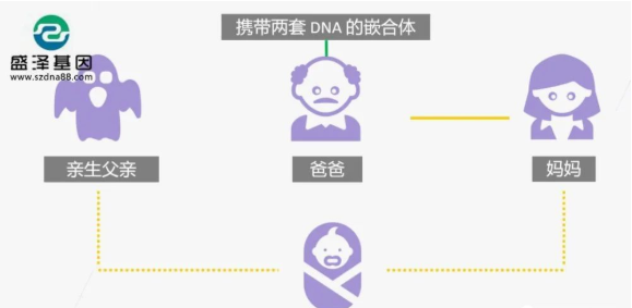 醫(yī)學(xué)怪病奇美拉現(xiàn)象：親自生未必是親生？你身體還住著另一個(gè)人？