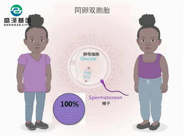 廣東男子做親子鑒定，竟發(fā)現(xiàn)自家雙胞胎有一個(gè)不是自己的？！