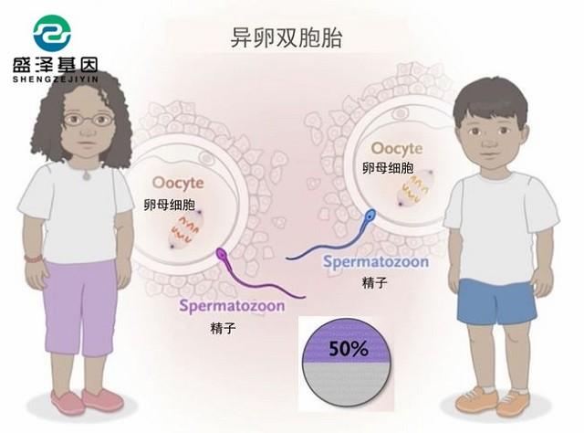 廣東男子做親子鑒定，竟發(fā)現(xiàn)自家雙胞胎有一個(gè)不是自己的？！
