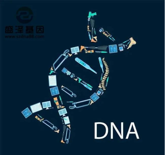 醫(yī)學(xué)怪病奇美拉現(xiàn)象：親自生未必是親生？你身體還住著另一個(gè)人？