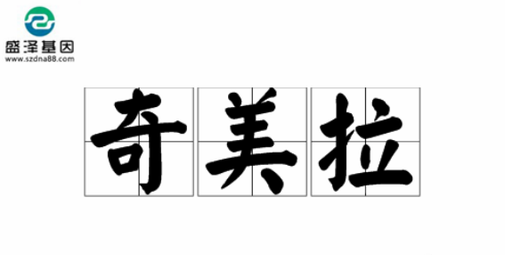 醫(yī)學(xué)怪病奇美拉現(xiàn)象：親自生未必是親生？你身體還住著另一個(gè)人？