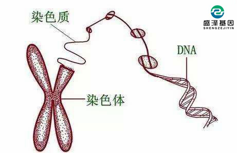 個人隱私親子鑒定可以保密嗎？怎么選擇司法親子鑒定機構？
