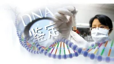 母子親子鑒定哪里檢測？