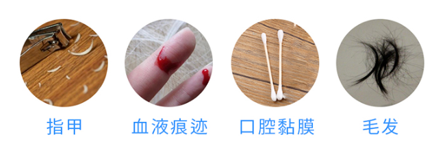 懷孕多久可以做無創胎兒親子鑒定樣本采集？