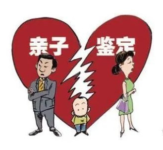 司法親子鑒定辦理流程有哪些？效力如何？