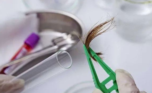 煙頭、血痕、毛發，做親子鑒定用哪些樣本最為準確？
