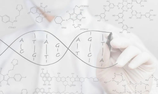 掉落的毛囊毛發(fā)可以拿去做染色體親子鑒定嗎？