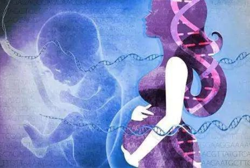 孕婦懷孕幾個月可以做dna親子鑒定？對胎兒有傷害嗎？