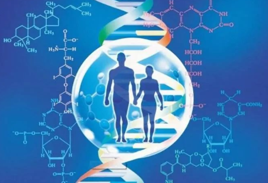親子鑒定中心是如何做出血緣關系鑒定結果的？
