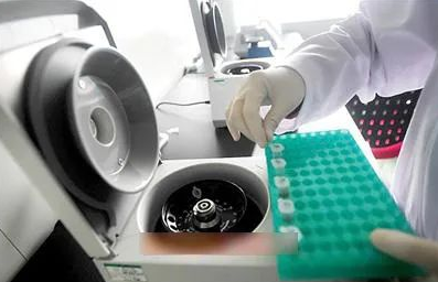 指甲是否含有DNA，可作為親子鑒定樣本嗎？