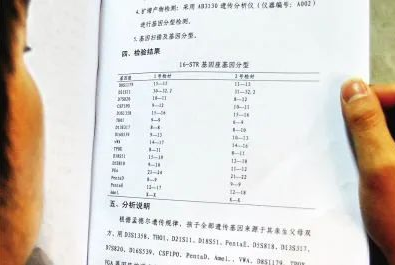 對(duì)隱私親子鑒定承擔(dān)法律責(zé)任，不讓親子鑒定成&ldquo;傷害婚姻鑒定&rdquo;