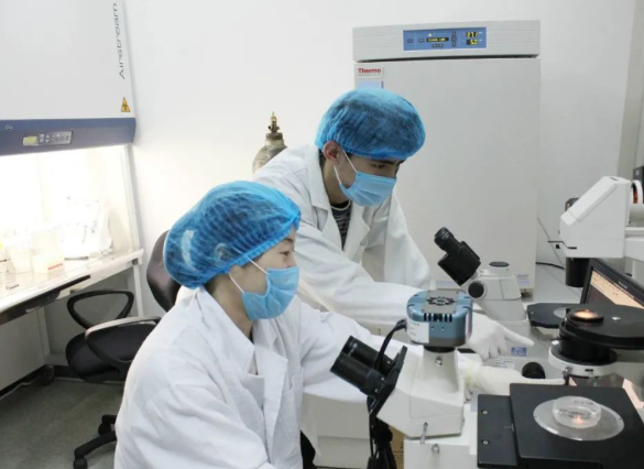 親子鑒定可以驗(yàn)證妻子忠貞度，也可以給孩子上戶口