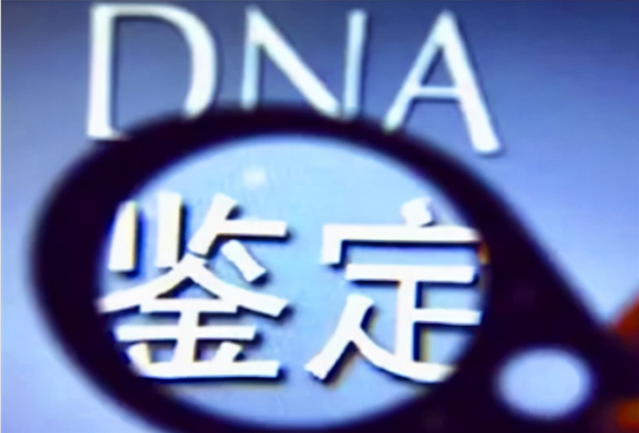 中山哪里有親子鑒定中心，在中山做親子鑒定要花多少錢？
