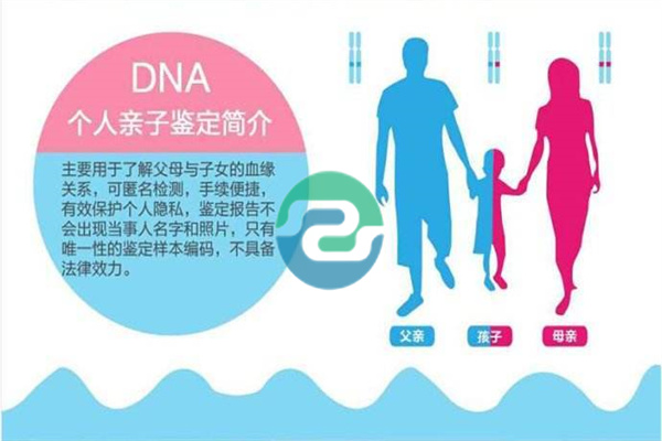 完整的中山親子鑒定指南，可以在家里進(jìn)行！
