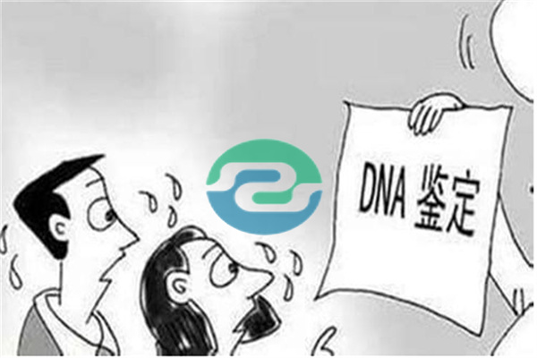 如何做中山親子鑒定？親子鑒定的流程其實很簡單！
