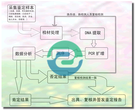 不想帶孩子去現(xiàn)場怎么做中山親子鑒定？